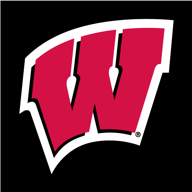 Wisconsin Badgers 1991-Pres Alternate Logo v2 diy iron on heat transfer...